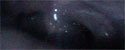 buttcam-5.jpg