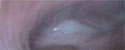 buttcam-6.jpg