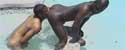ebonyknights-5.jpg